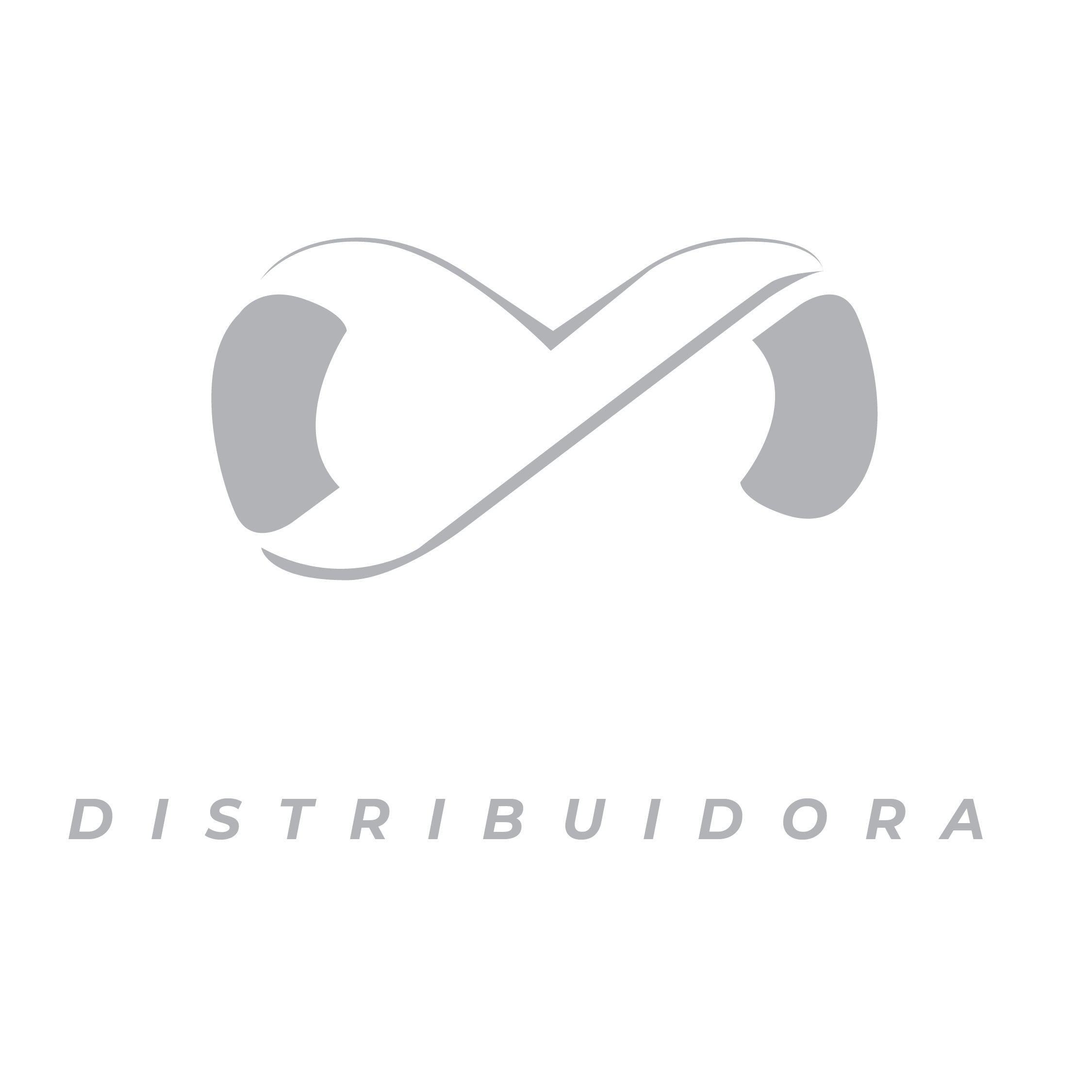 LOGO Distribuidora Nexu